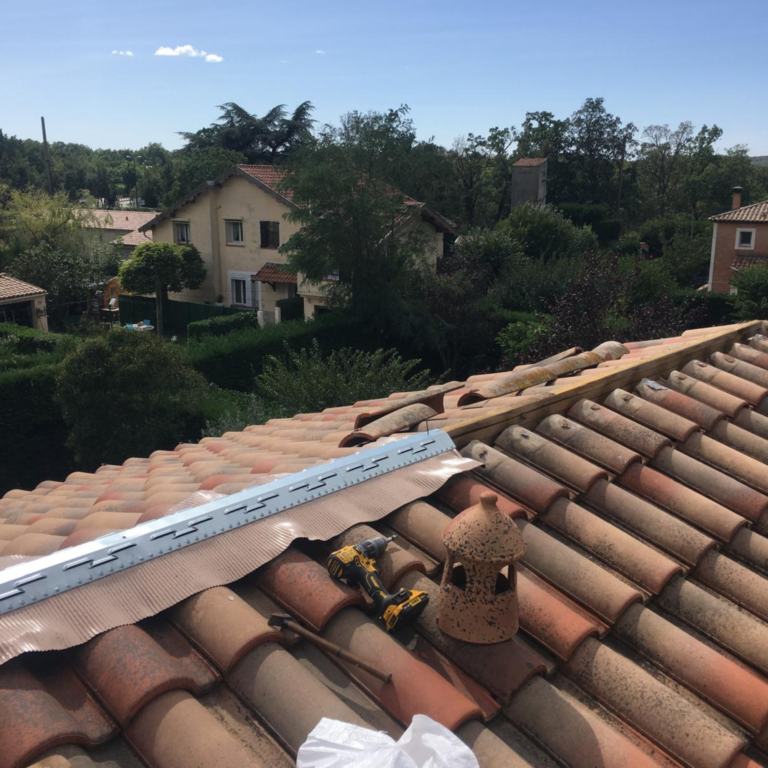 Rénovation et changement de faîtage