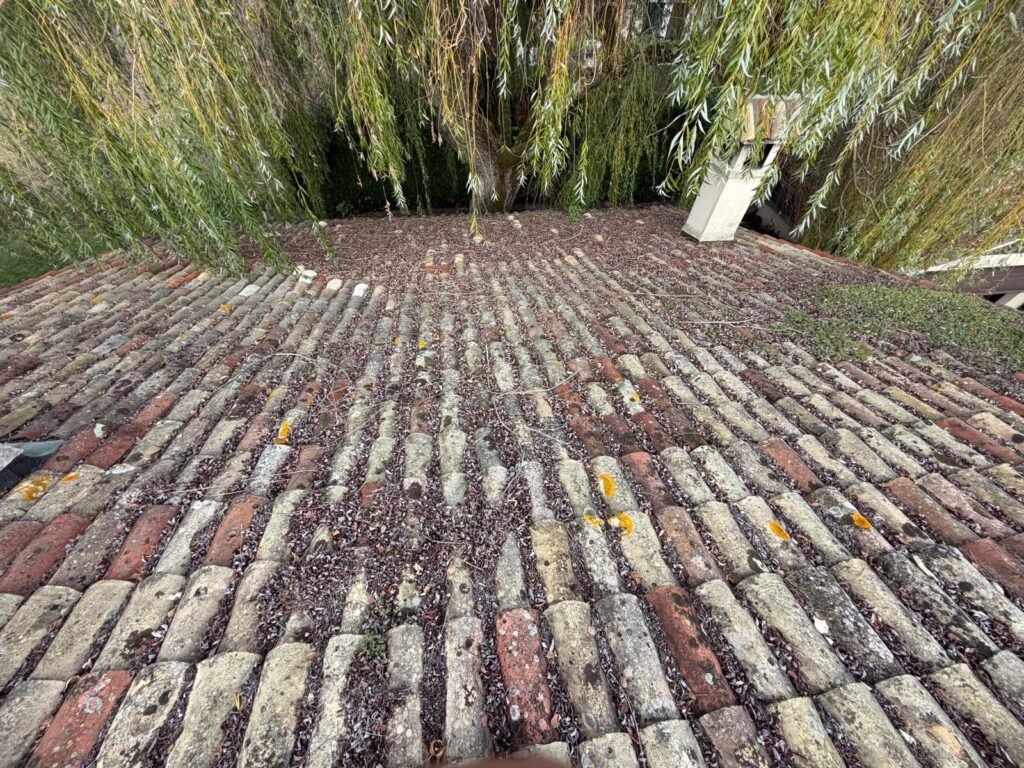 Tuiles canal anciennes encrassées avant démoussage