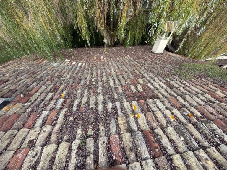 Tuiles canal anciennes encrassées avant démoussage