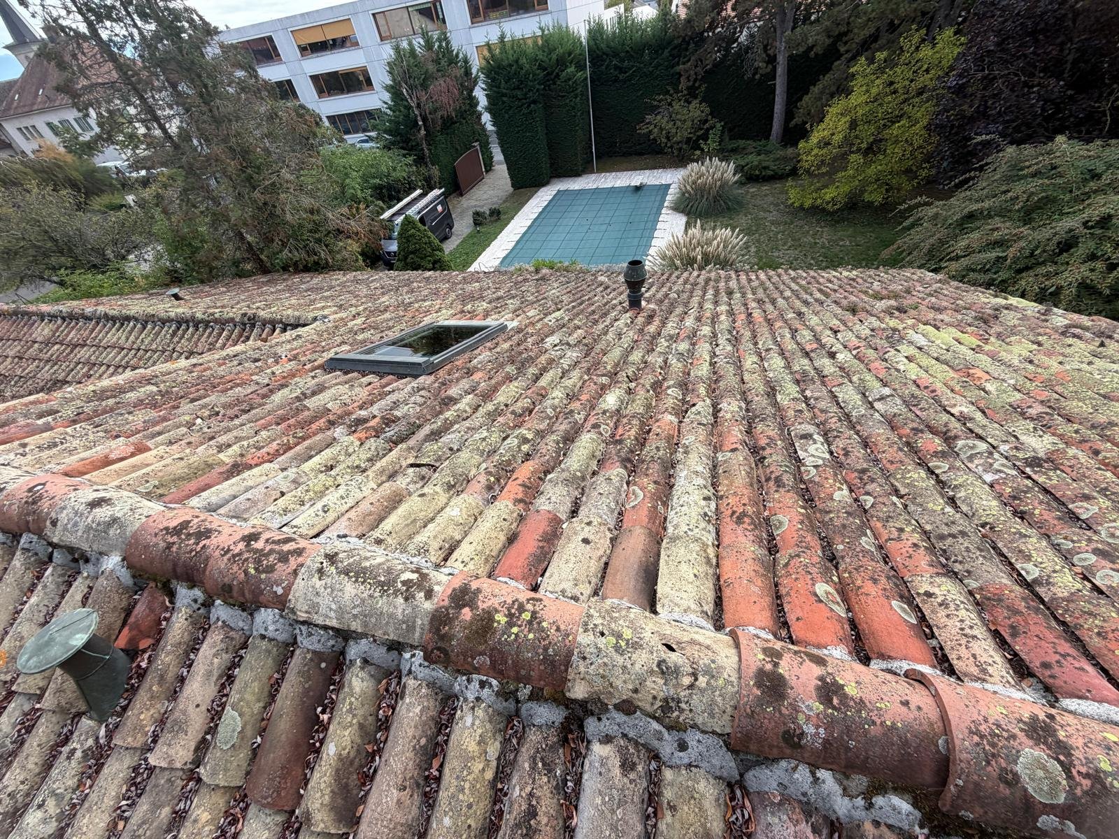 Tuiles canal colonisées par le lichen, faîtage à rénover